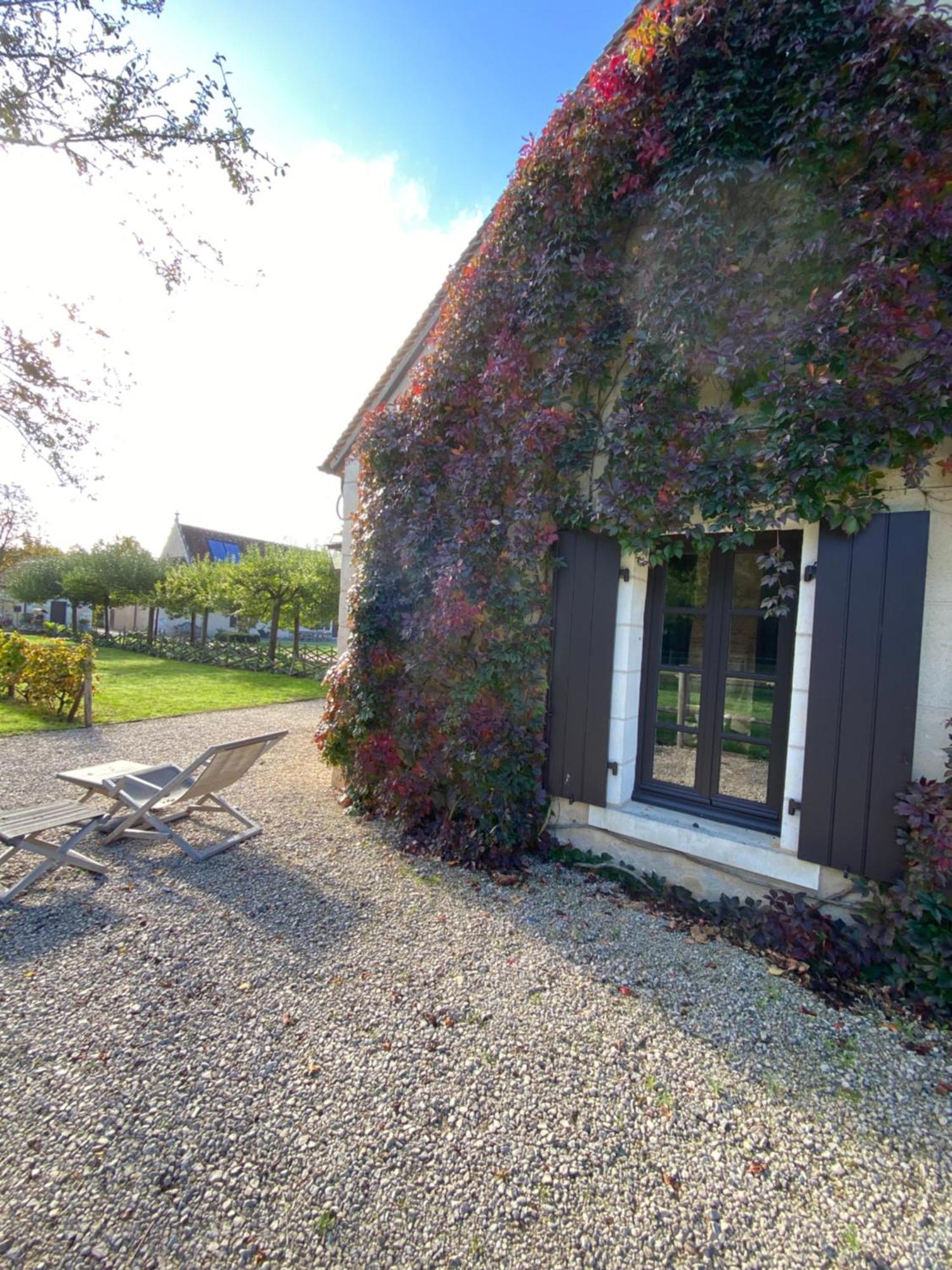 Domaine De Poulaines Pres Valencay Val De Loire Berry别墅 外观 照片
